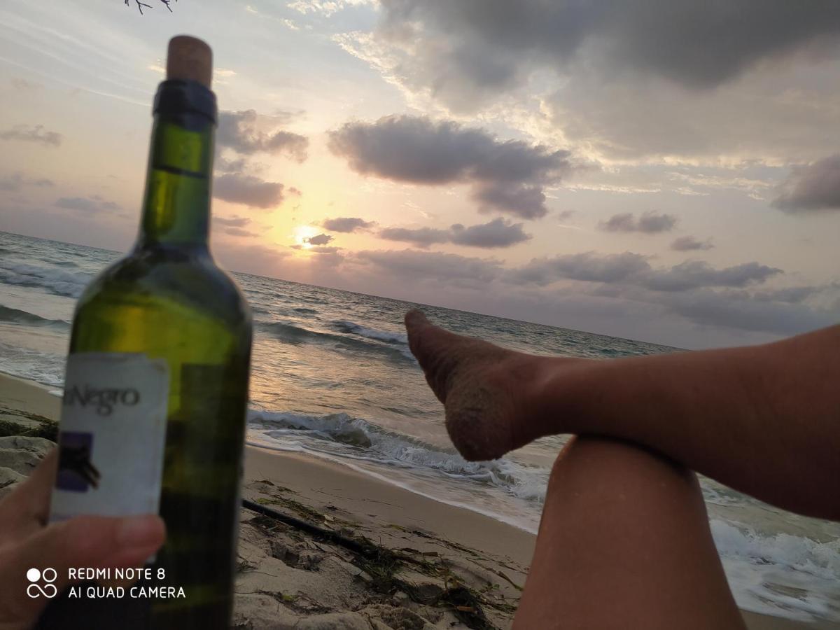Los Versos De Zaira San Onofre エクステリア 写真