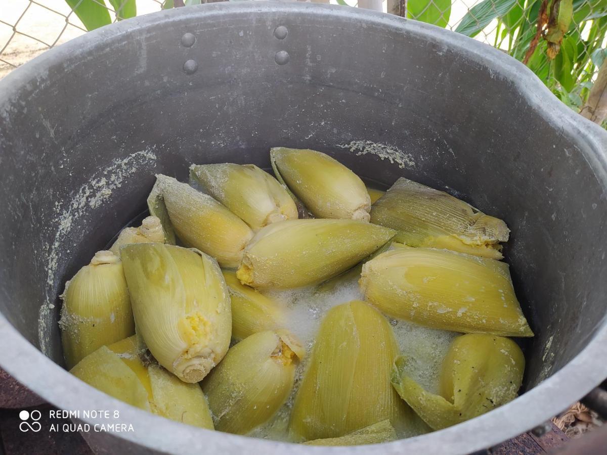 Los Versos De Zaira San Onofre エクステリア 写真